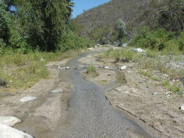Cruce del Arroyo en el predio El Encantado. Foto Maria Helena García